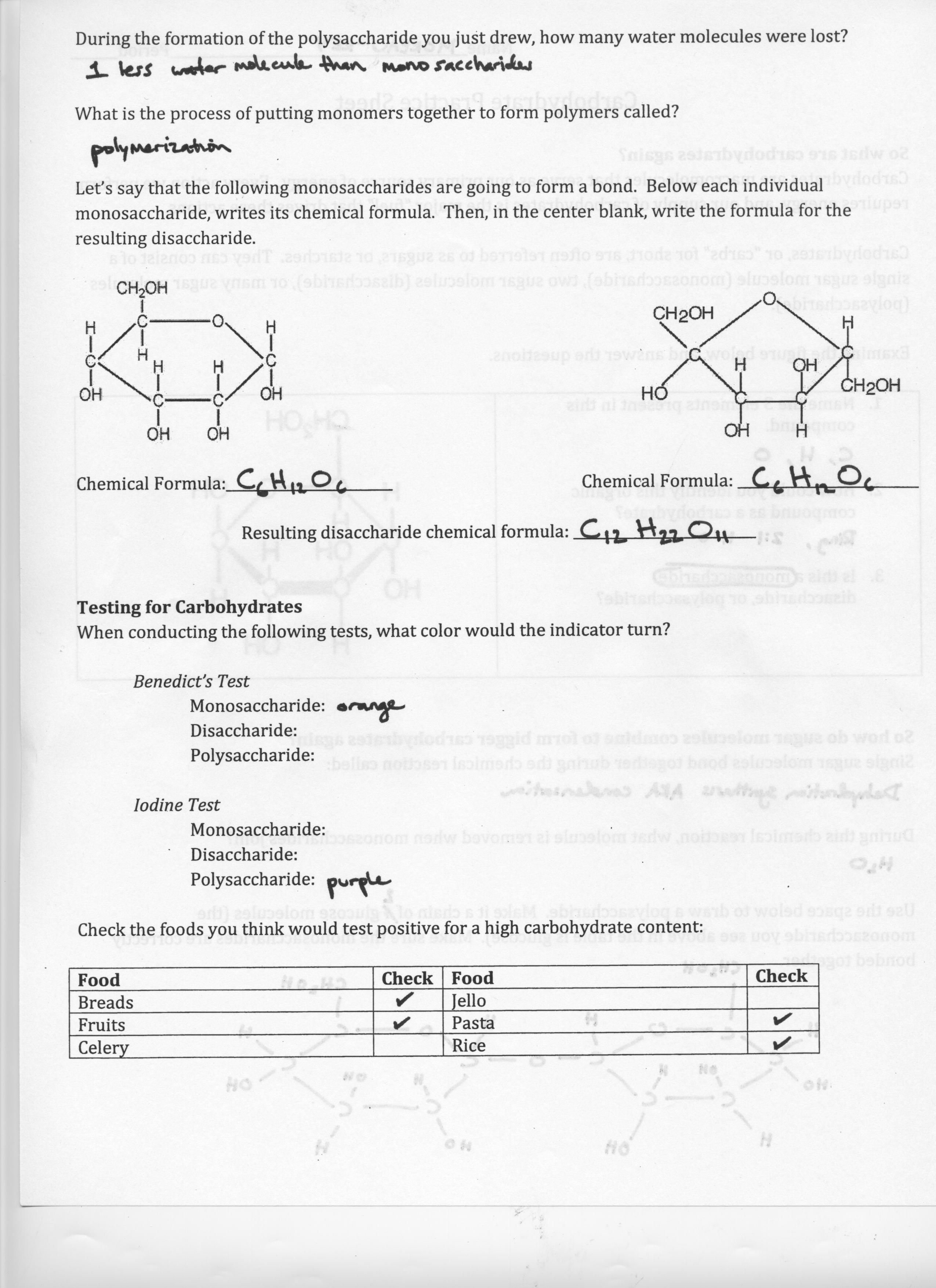 biological-molecules-worksheet-answers-soccerphysicsonline-db-excel